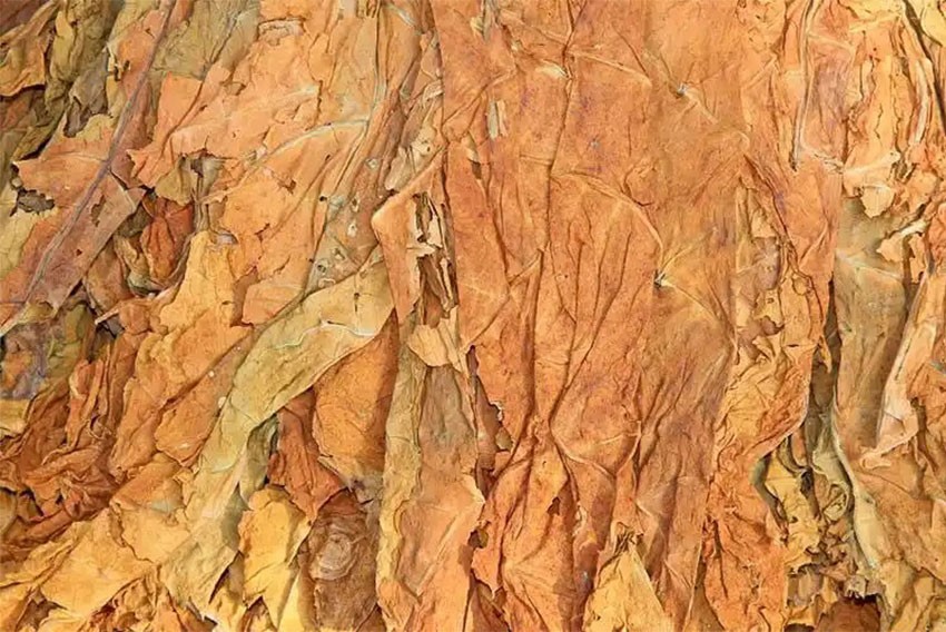 product-850-568 product-850-568